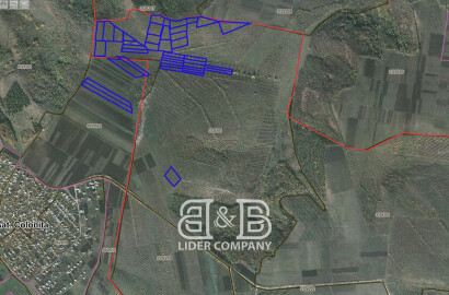Terenuri agricole de vânzare în Colonița – 19 hectare!