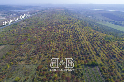 Teren Agricol de 6,2 Hectare în Satul Peresecina, Raionul Orhei