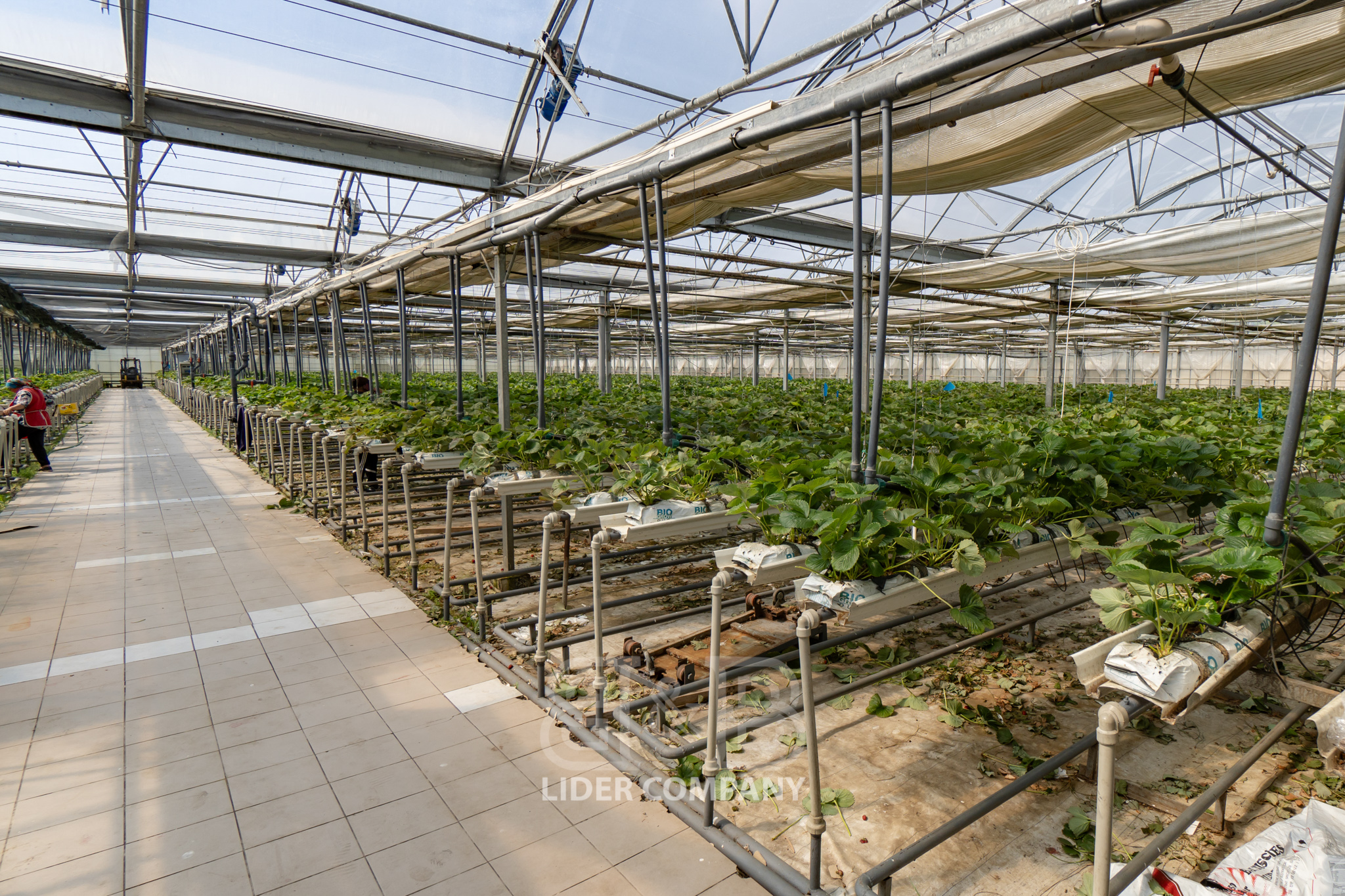 Teren Agricol + Seră 19 Ha , Afacere Activă Criuleni