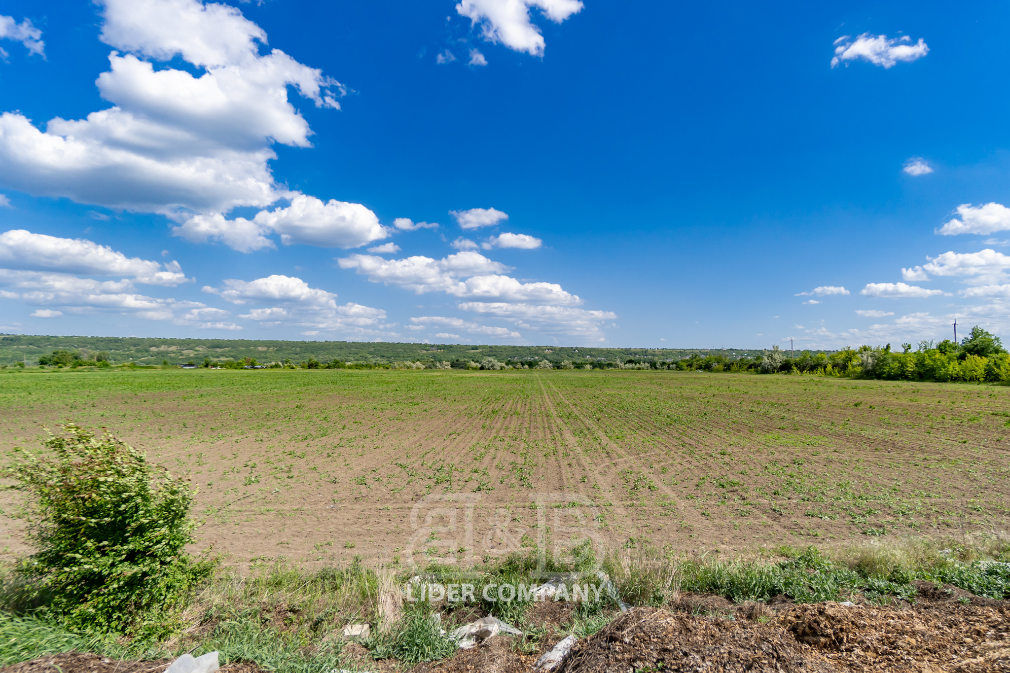 Teren Agricol + Seră 19 Ha , Afacere Activă Criuleni