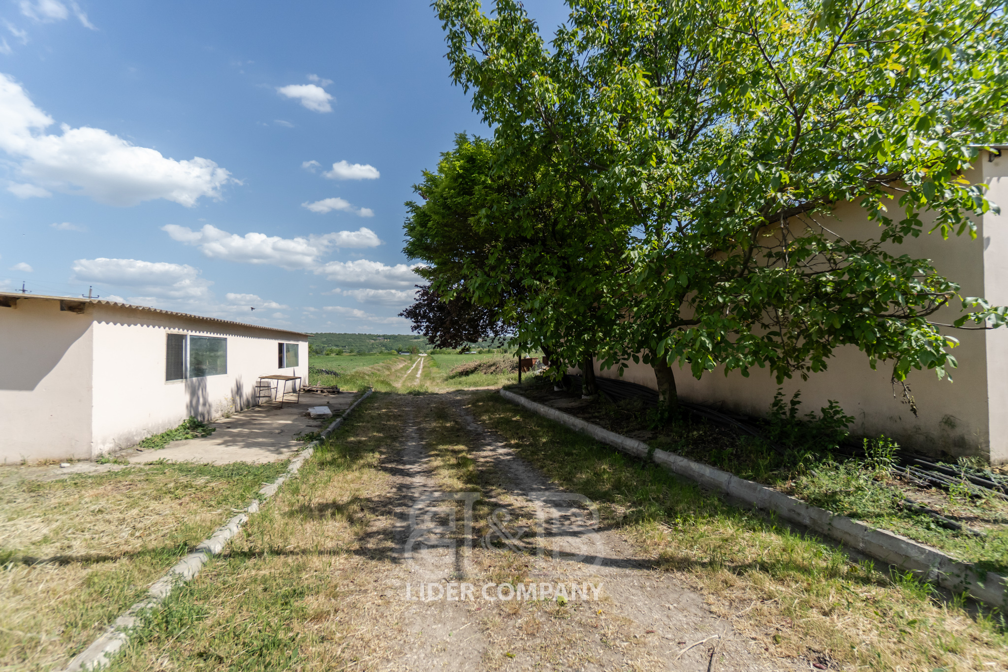 Teren Agricol + Seră 19 Ha , Afacere Activă Criuleni