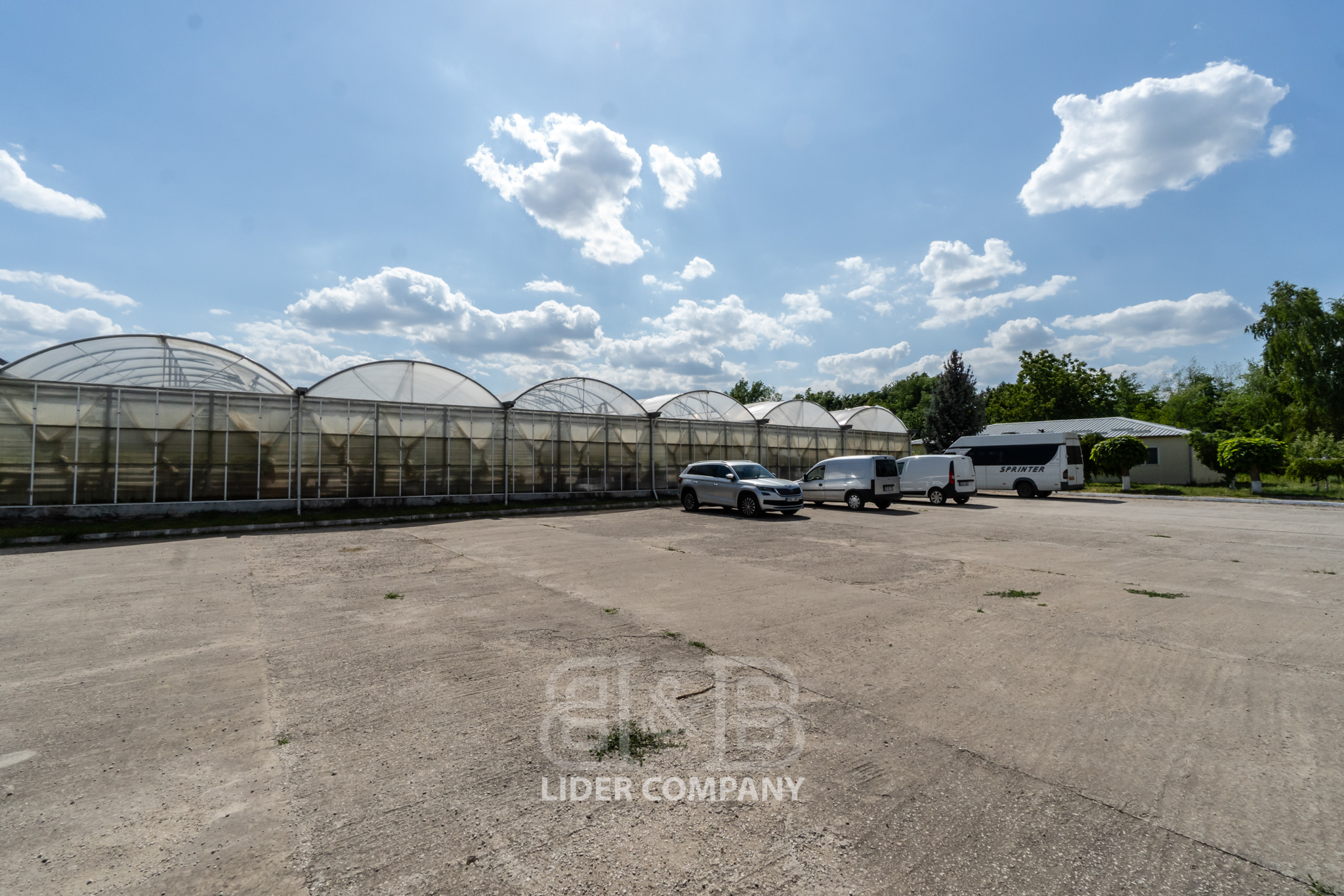 Teren Agricol + Seră 19 Ha , Afacere Activă Criuleni
