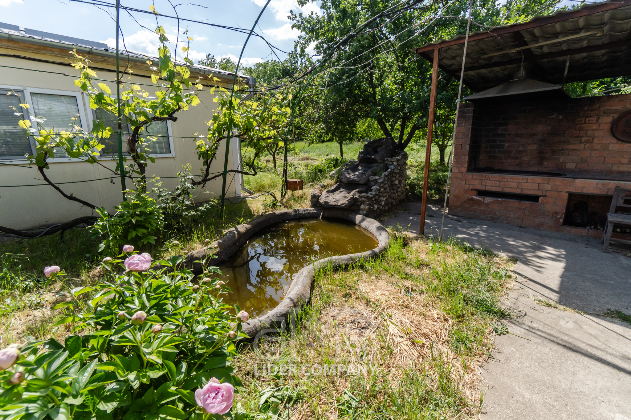 Teren Agricol + Seră 19 Ha , Afacere Activă Criuleni