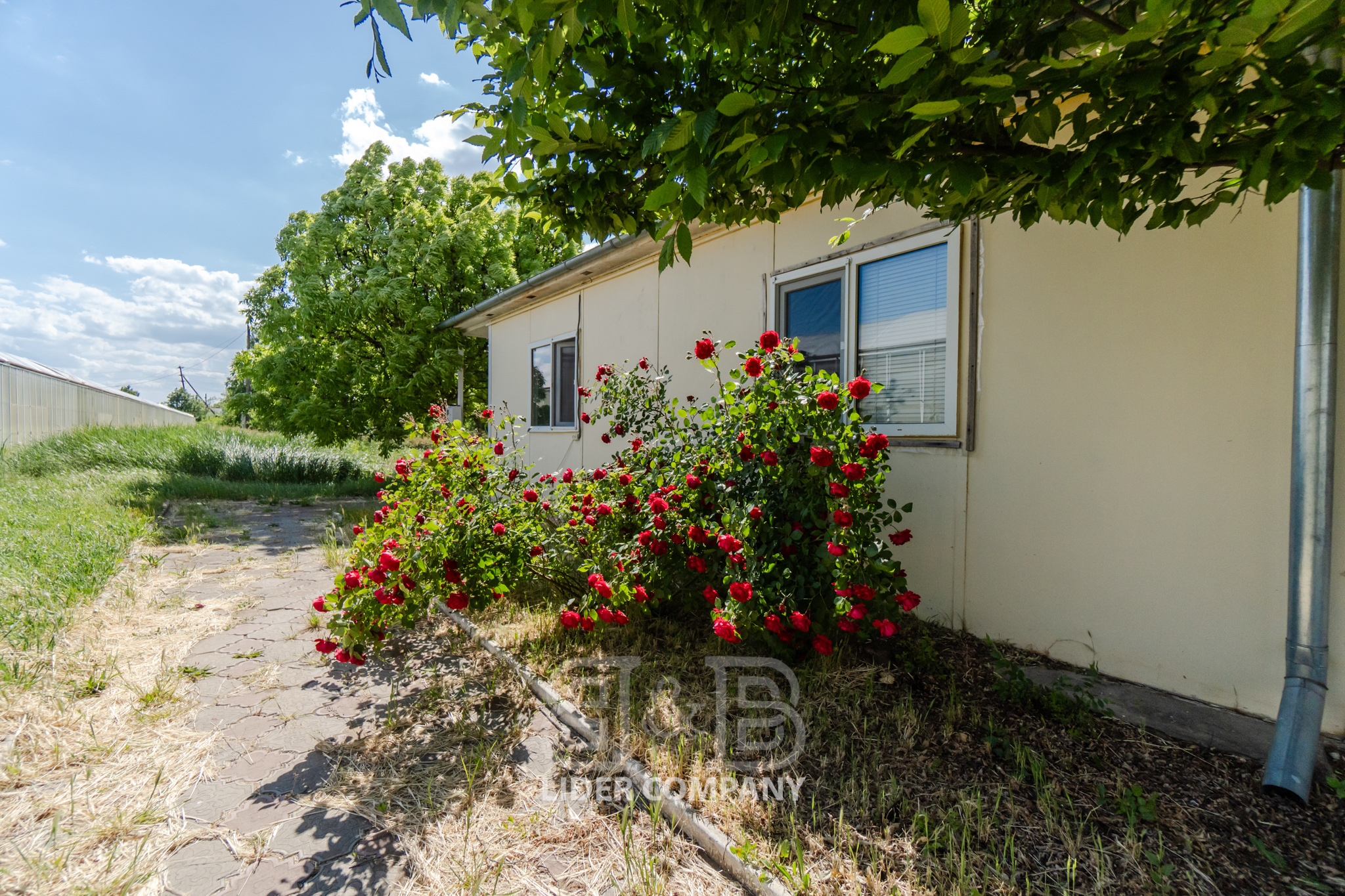 Teren Agricol + Seră 19 Ha , Afacere Activă Criuleni