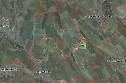 Vânzare teren agricol în Anenii Noi, Satul Salcia – 20 ha