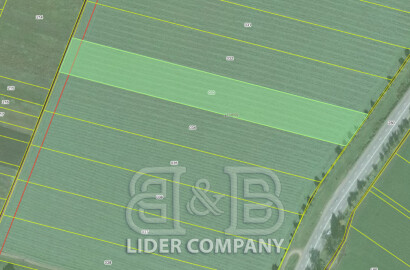 De vânzare Teren agricol – 1,3 ha, Ivancea, r-nul Orhei