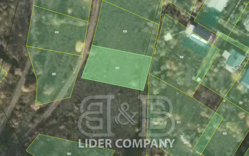 Teren agricol extravilan de vânzare – 6 Ari – Dumbrava