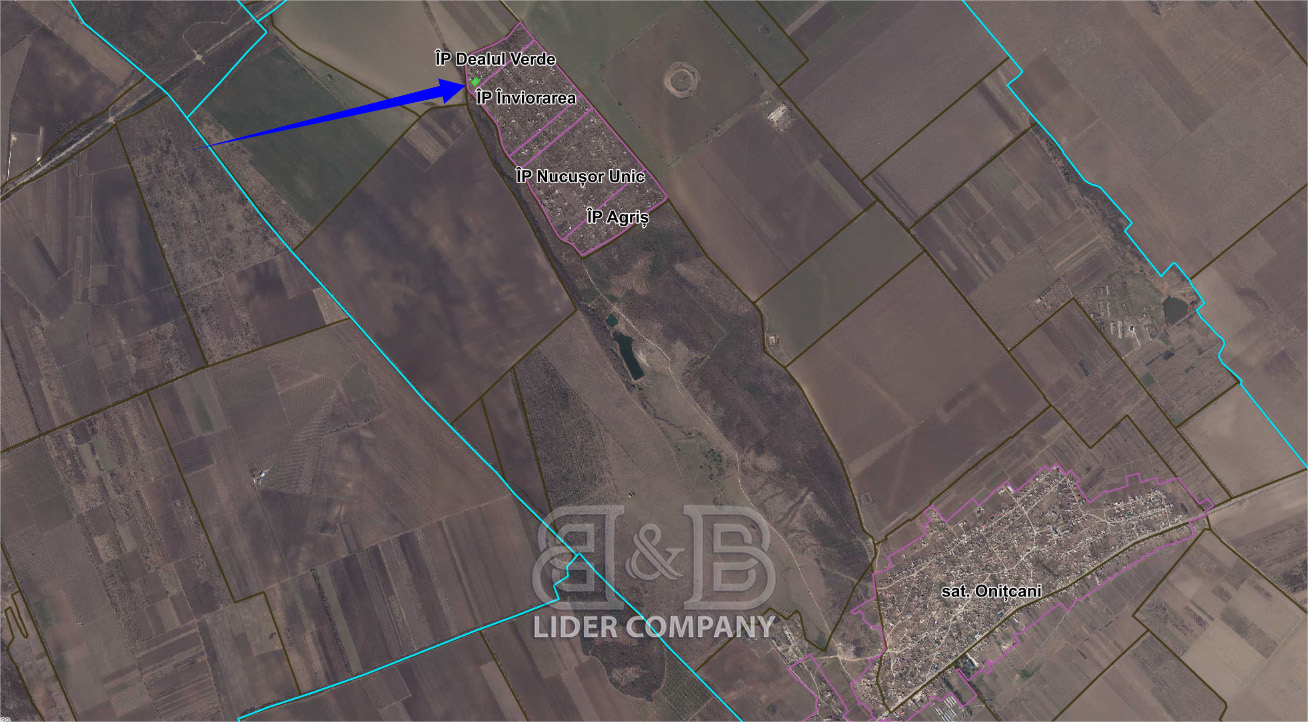 Lot pomicol de vânzare – 6 ari – IP Dealul Verde, satul Onițcani, r-n Criuleni