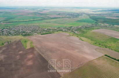 De vânzare Teren agricol – 70 hectare – Anenii Noi, satul Beriozchi