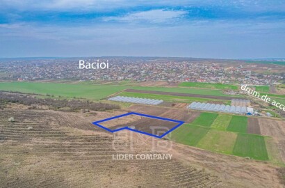 Spre vânzare terenuri agricole în Bacioi – 7, 17, 33 Ari