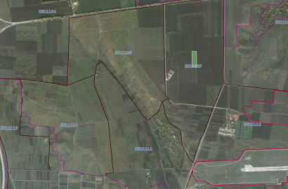Teren Agricol pentru investiții 1 Ha, Băcioi